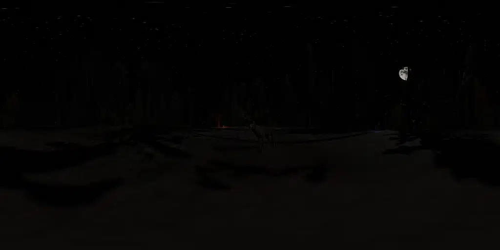 Night Forest